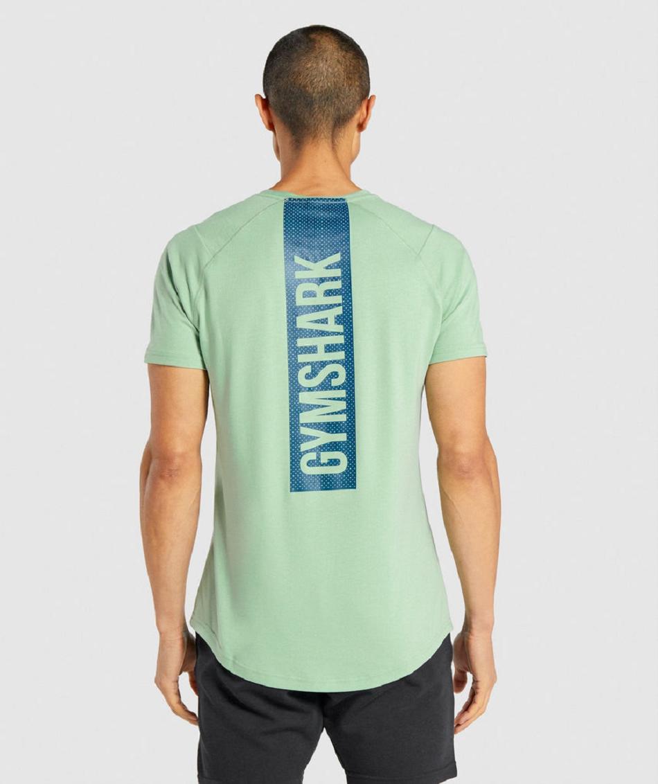 T Shirts Gymshark Bold Hombre Verde | CO 3375OKI